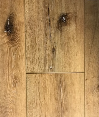 Beachside Oak