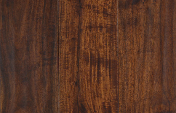 Tamarind Acacia